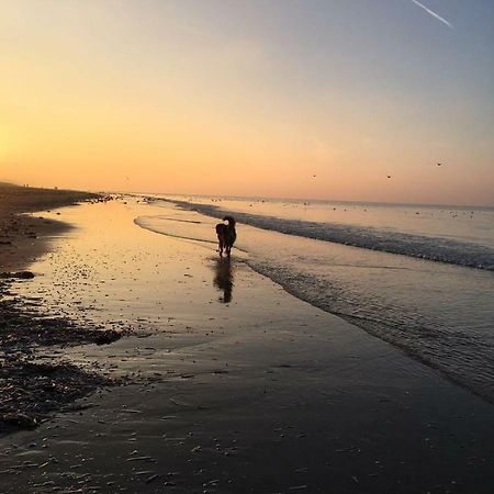 Au Gre Du Vent Koksijde Exterior foto